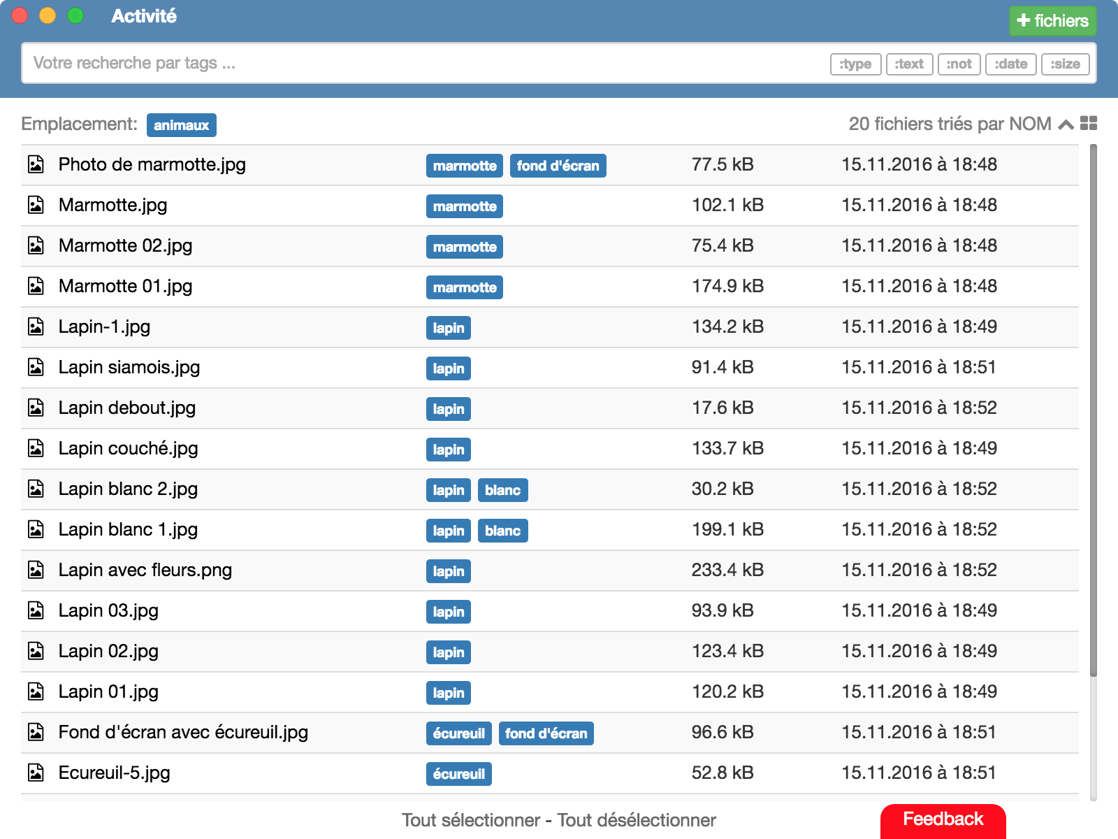 Fenêtre principale de TagFlow